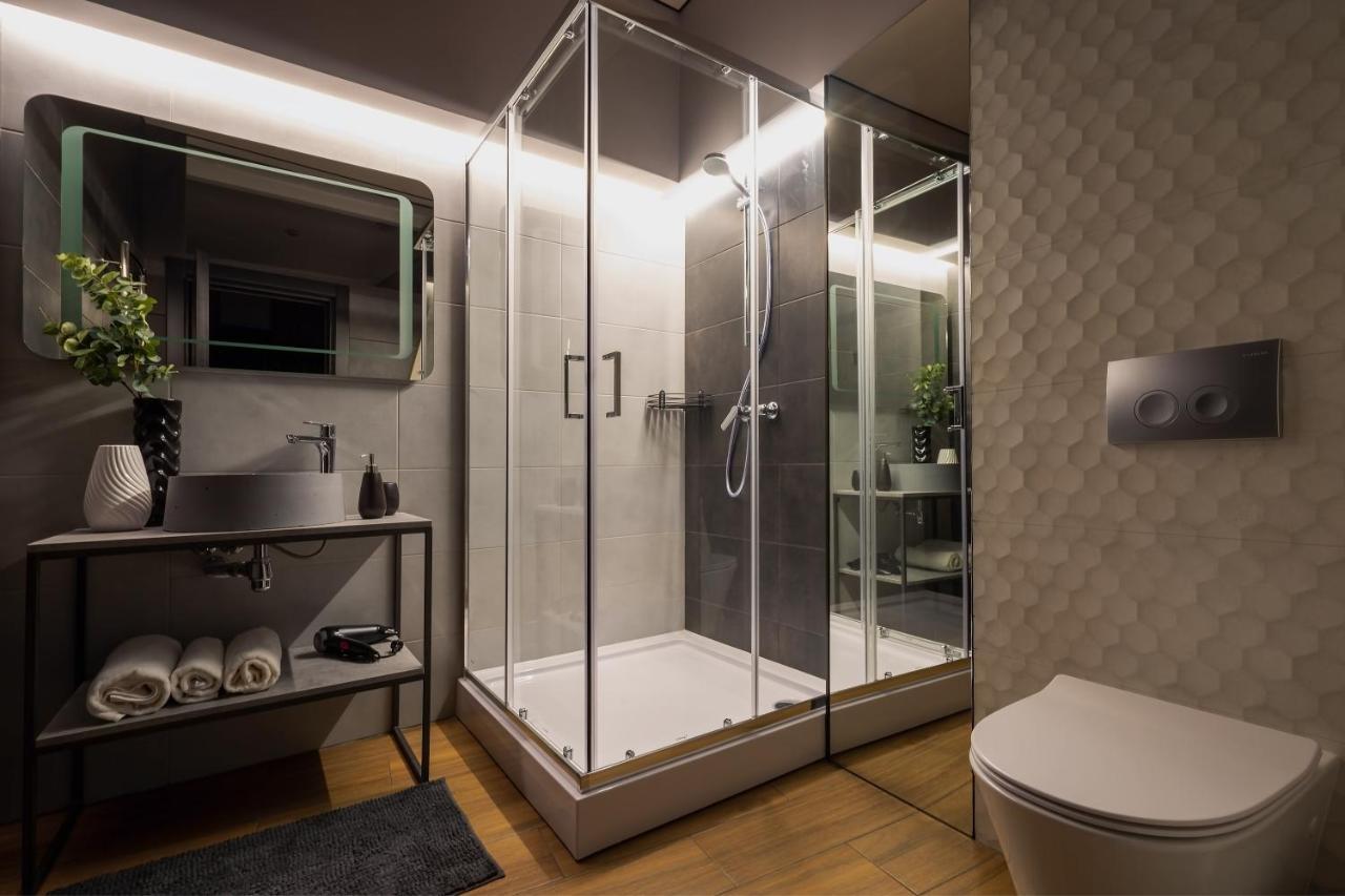 Luxury Upscale On 18 M Zhitomirska 公寓